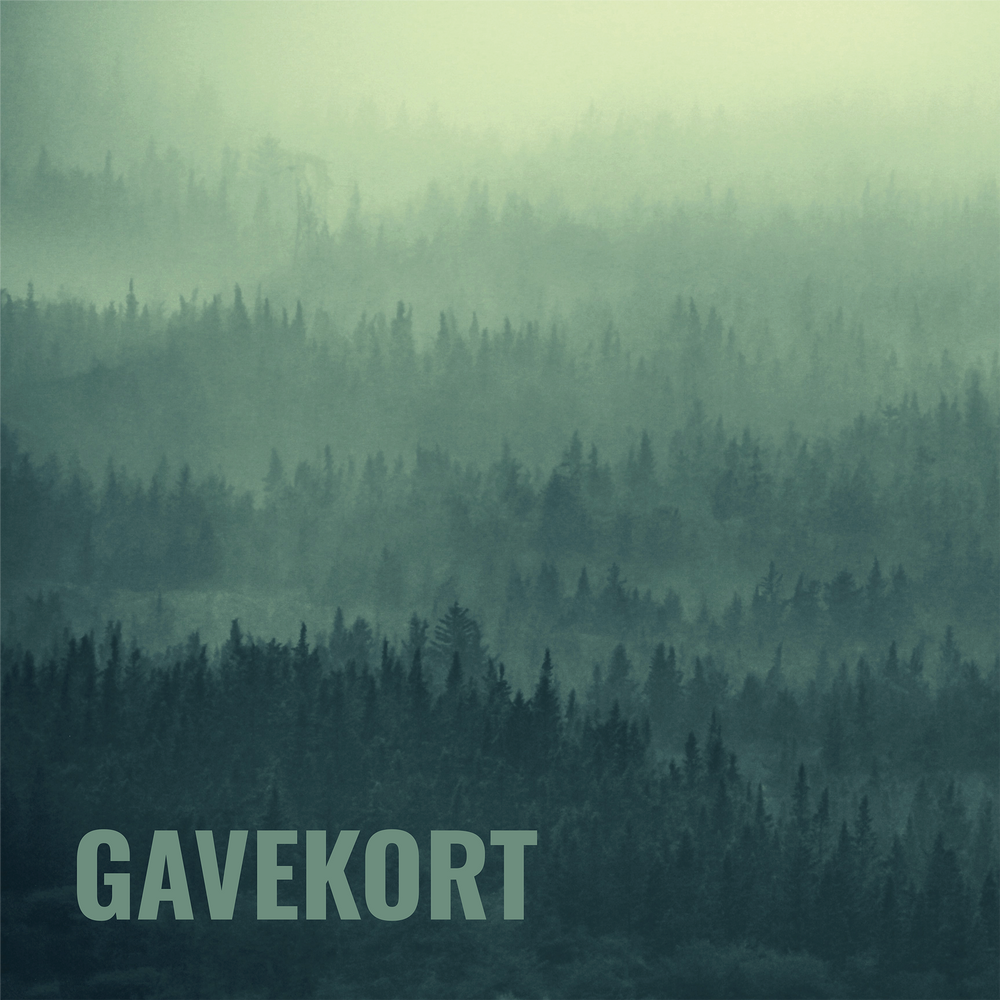 Gavekort / Kr 4000